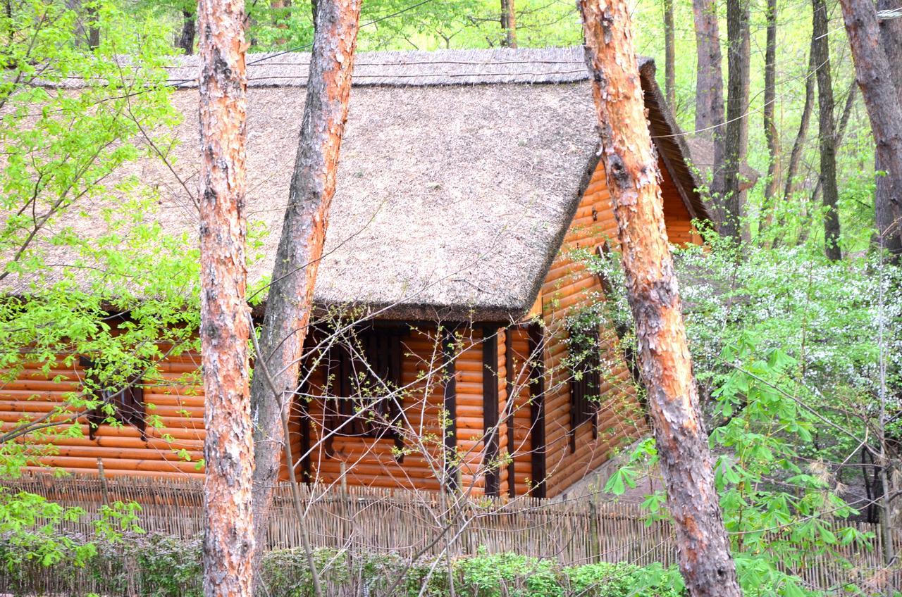 Отель Чумацкий шлях Romankiv Экстерьер фото